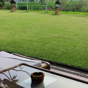 Bintang Pari Taman liburan